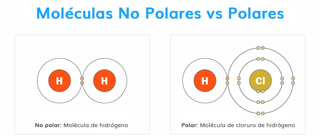 moleculas no polar o polar