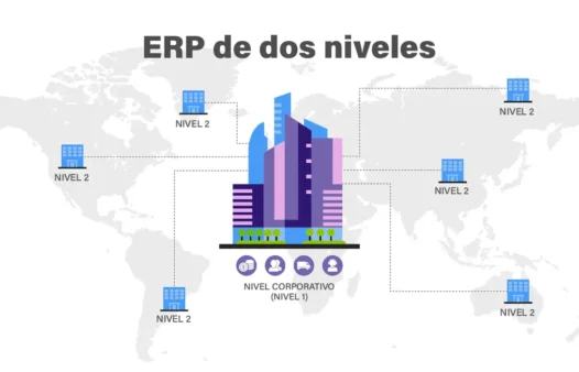 erp de 2 niveles