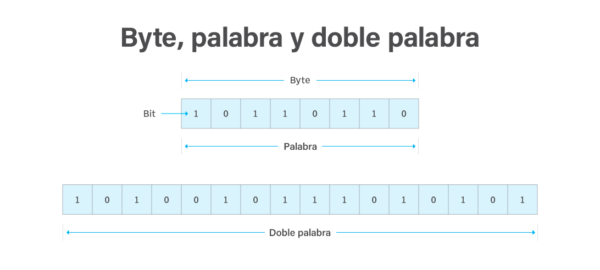 byte palabra y doble palabra